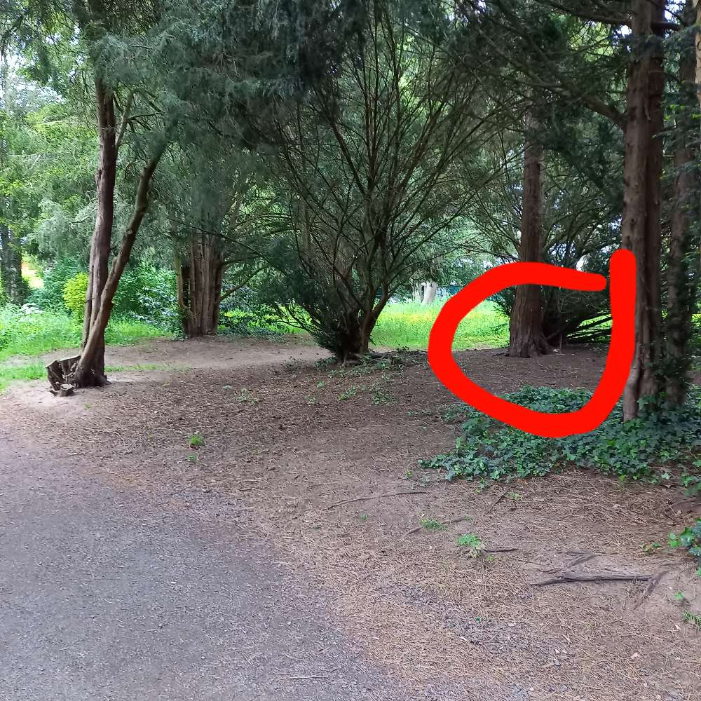 Giftköder-Verschimmeltes Brot und Fleisch ausgelegt-Profilbild