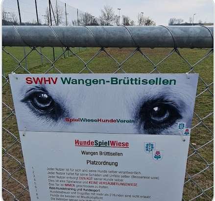 Hundetreffen-Hundetreffen-Profilbild