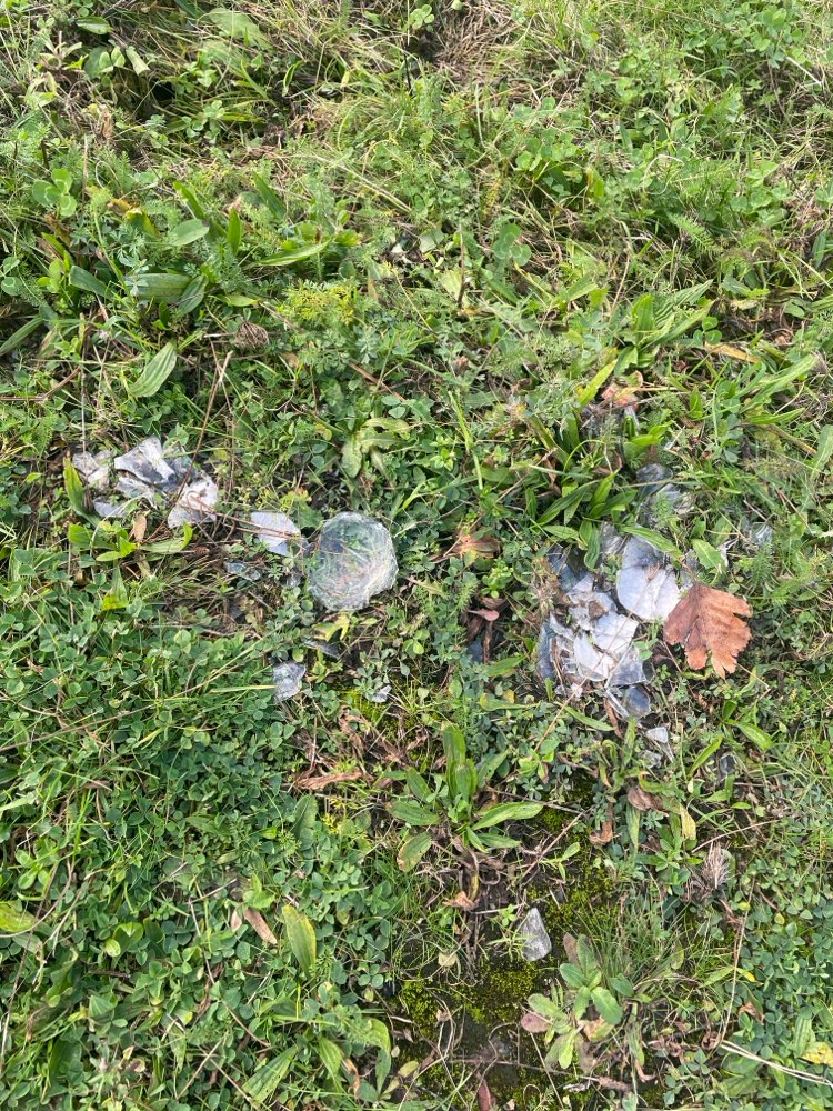 Giftköder-Glasscherben-Profilbild