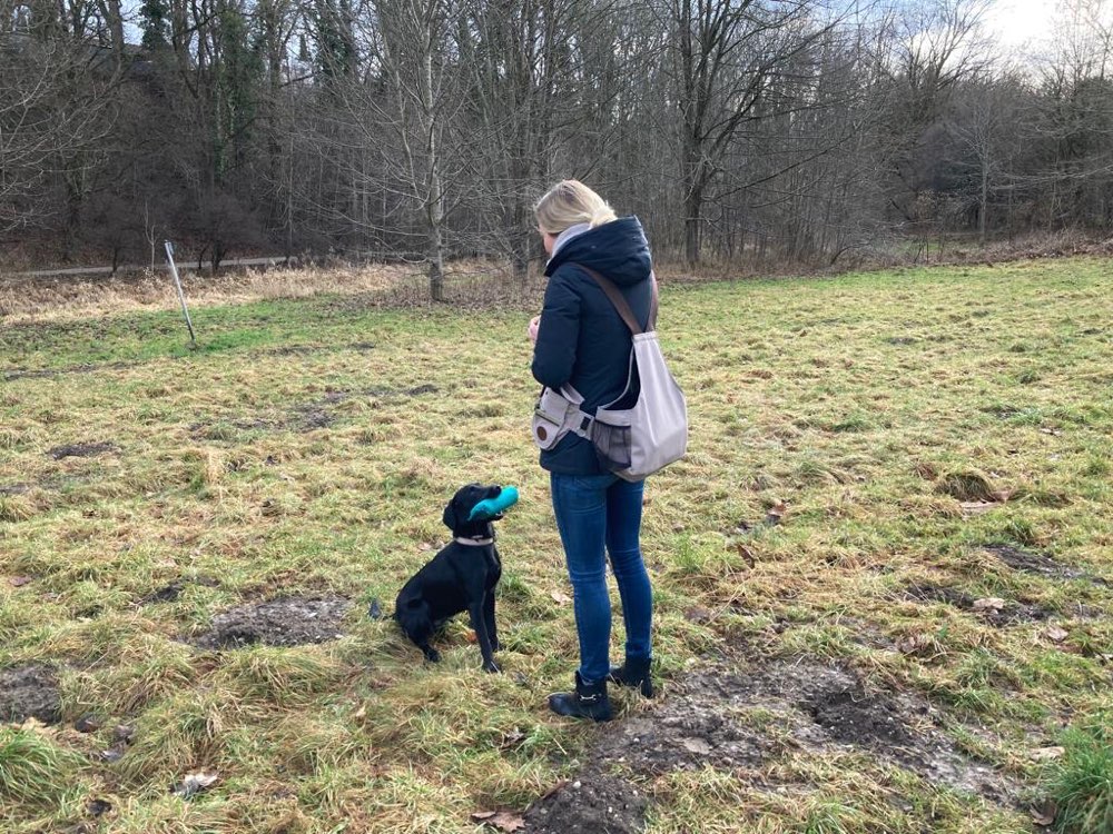 Hundetreffen-Dummy Training-Profilbild