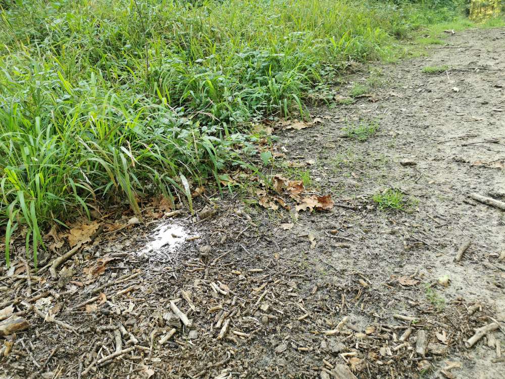 Giftköder-weißes Pulver, menschl.Kot-Profilbild