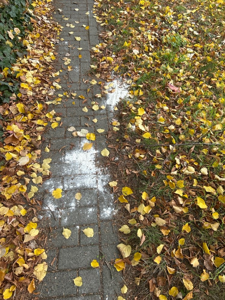 Giftköder-Weißes Pulver auf dem Boden-Profilbild