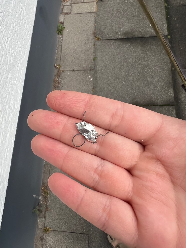 Giftköder-⚠️ Vorsicht! Möglicher Köder gefunden-Profilbild