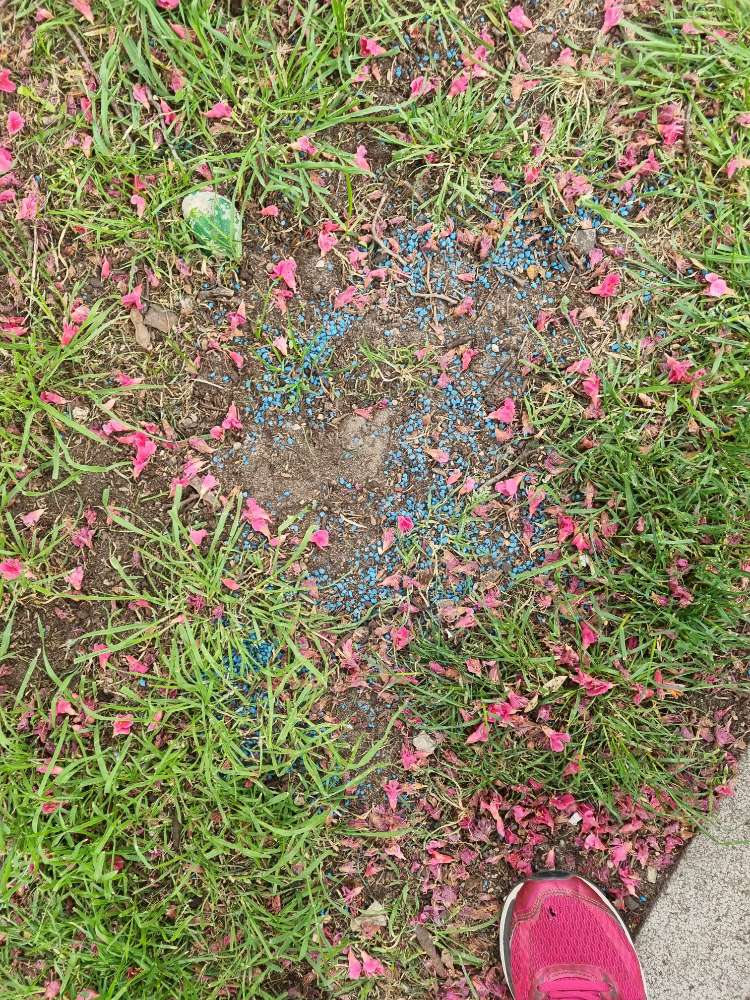 Giftköder-Eventuell rattengift-Profilbild