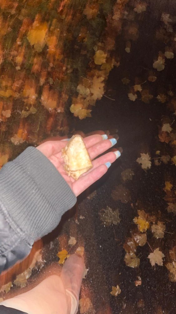 Giftköder-Knochen der extrem nach Chemie riecht-Profilbild