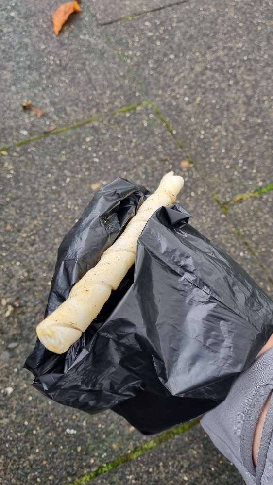 Giftköder-Potenzieller Giftköder/ausgelegte Lecker-Profilbild