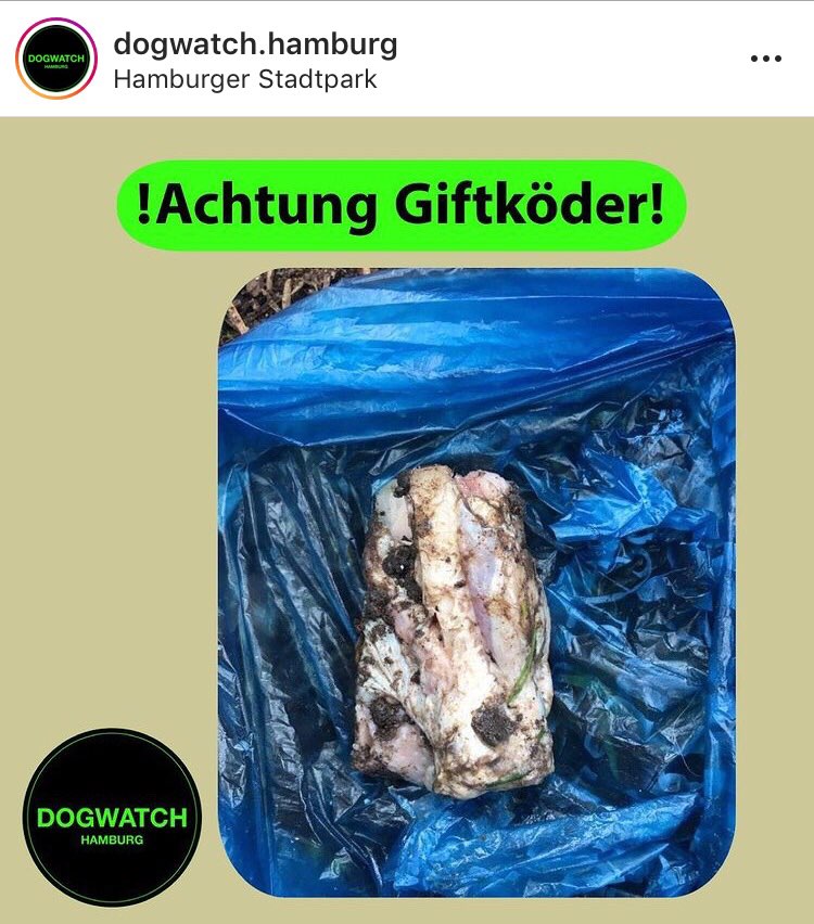 Giftköder-Knochen in Gebüsch-Profilbild