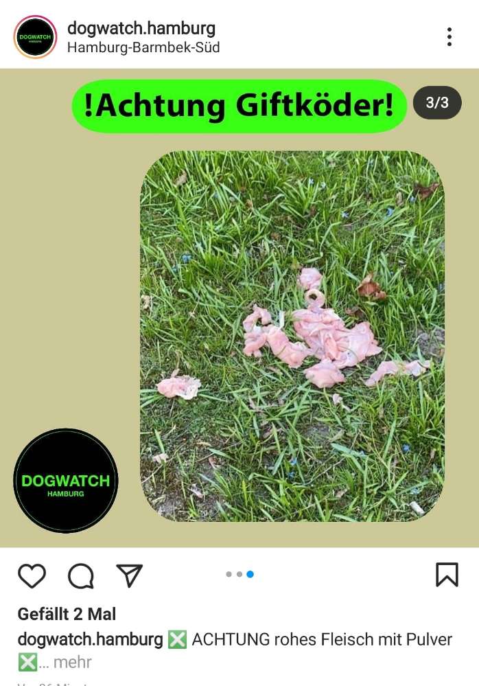 Giftköder-Rohes Fleisch mit weißem Pulver-Profilbild