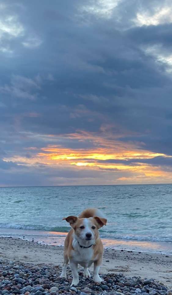 205.Fotowettbewerb:" Himmlische Bilder" Banner