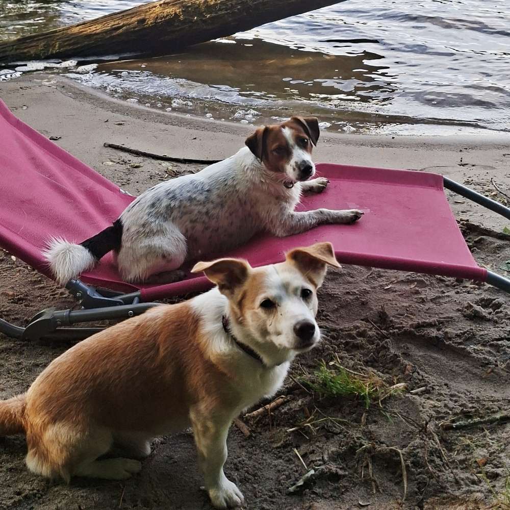Ein perfekter Tag Banner