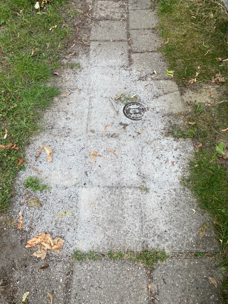 Giftköder-Weißes Pulver-Profilbild