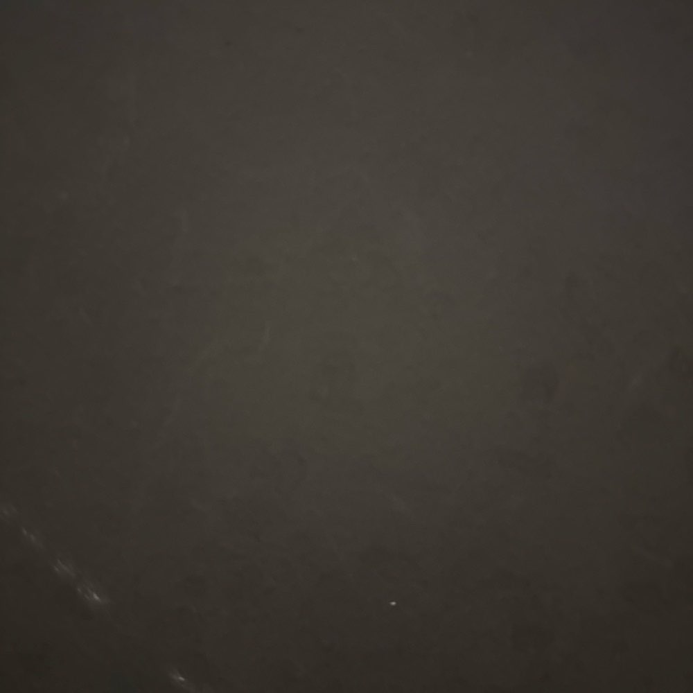 Hundetreffen-Sheltie sucht Spielkameraden-Profilbild