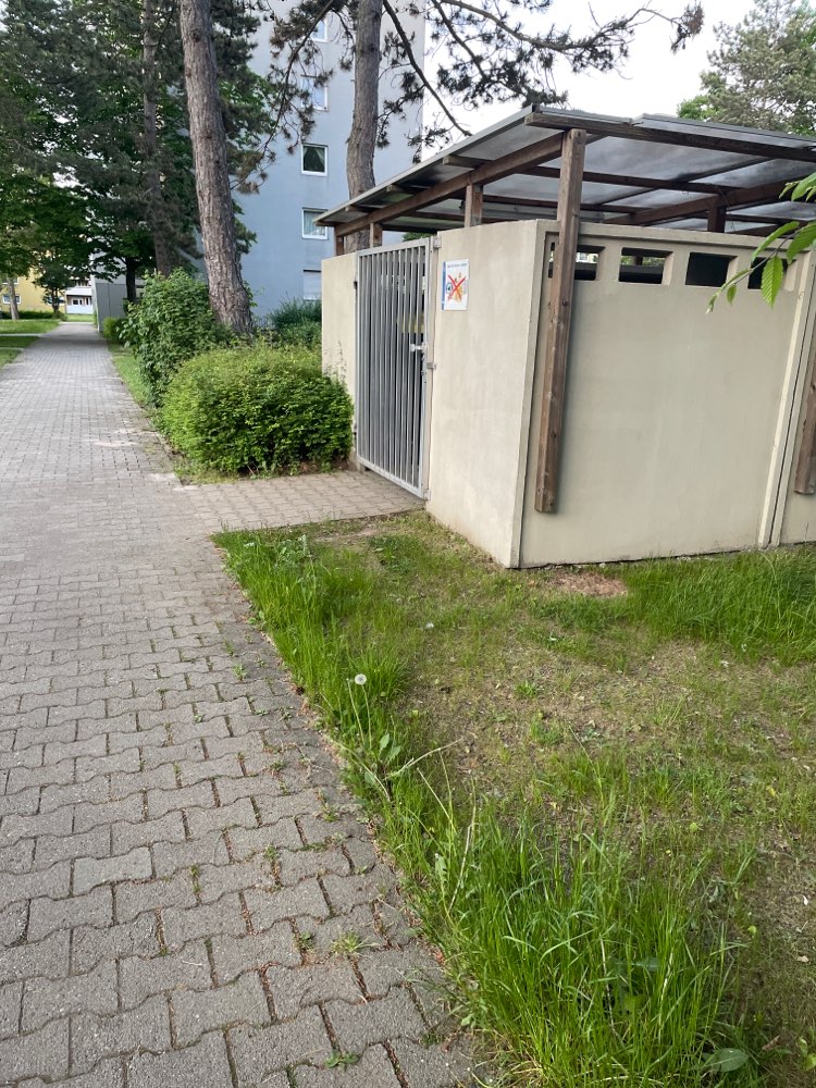 Giftköder-Evt. Rattengift-Profilbild