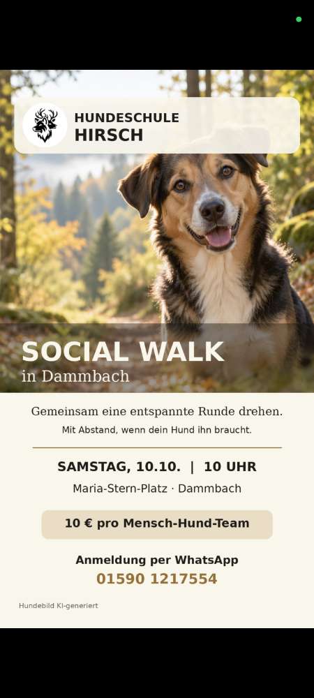Hundetreffen-Social Walk - Schwerpunkt Hundebegegnungen-Profilbild
