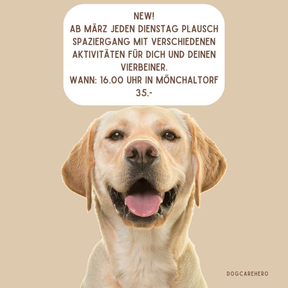 Hundetreffen-Jeden Dienstag ab März Plauschwalk-Profilbild