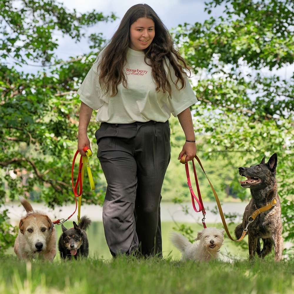 Hundetreffen-Training, Socialwalk, Gassi...-Profilbild