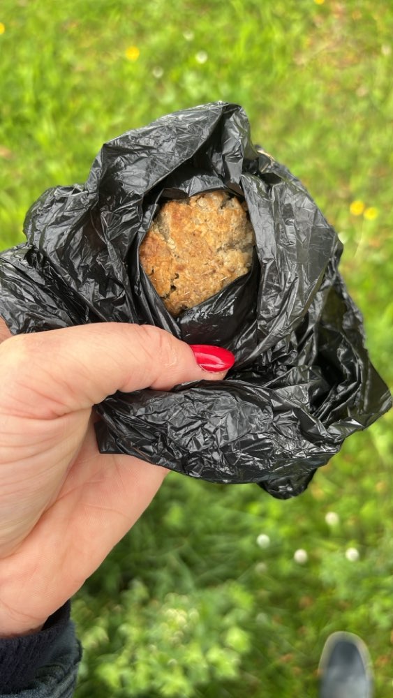 Giftköder-Giftköder "Fleischküchlein"-Profilbild