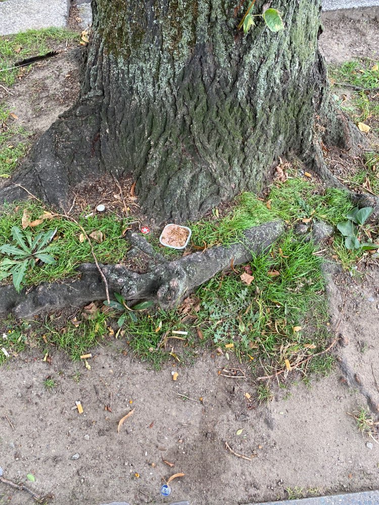 Giftköder-Offenes Hundefutter mit Granulat-Profilbild