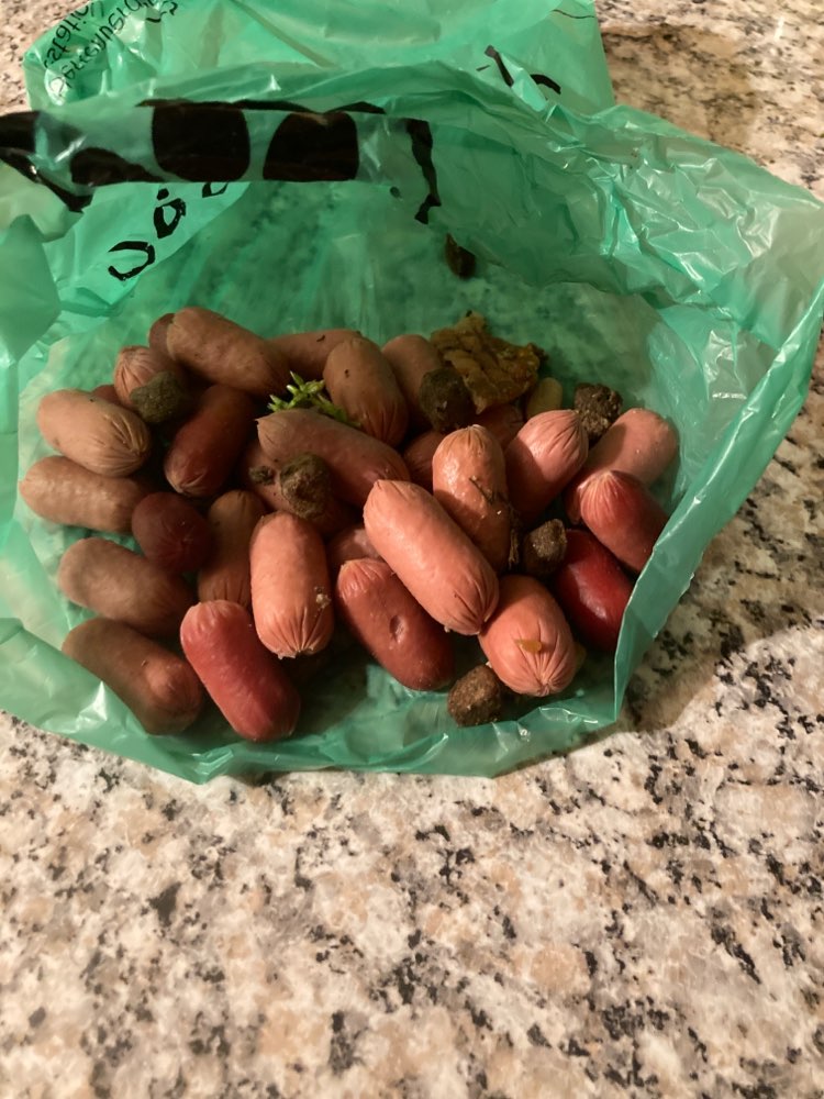 Giftköder-Vermutlich Giftköder-Profilbild