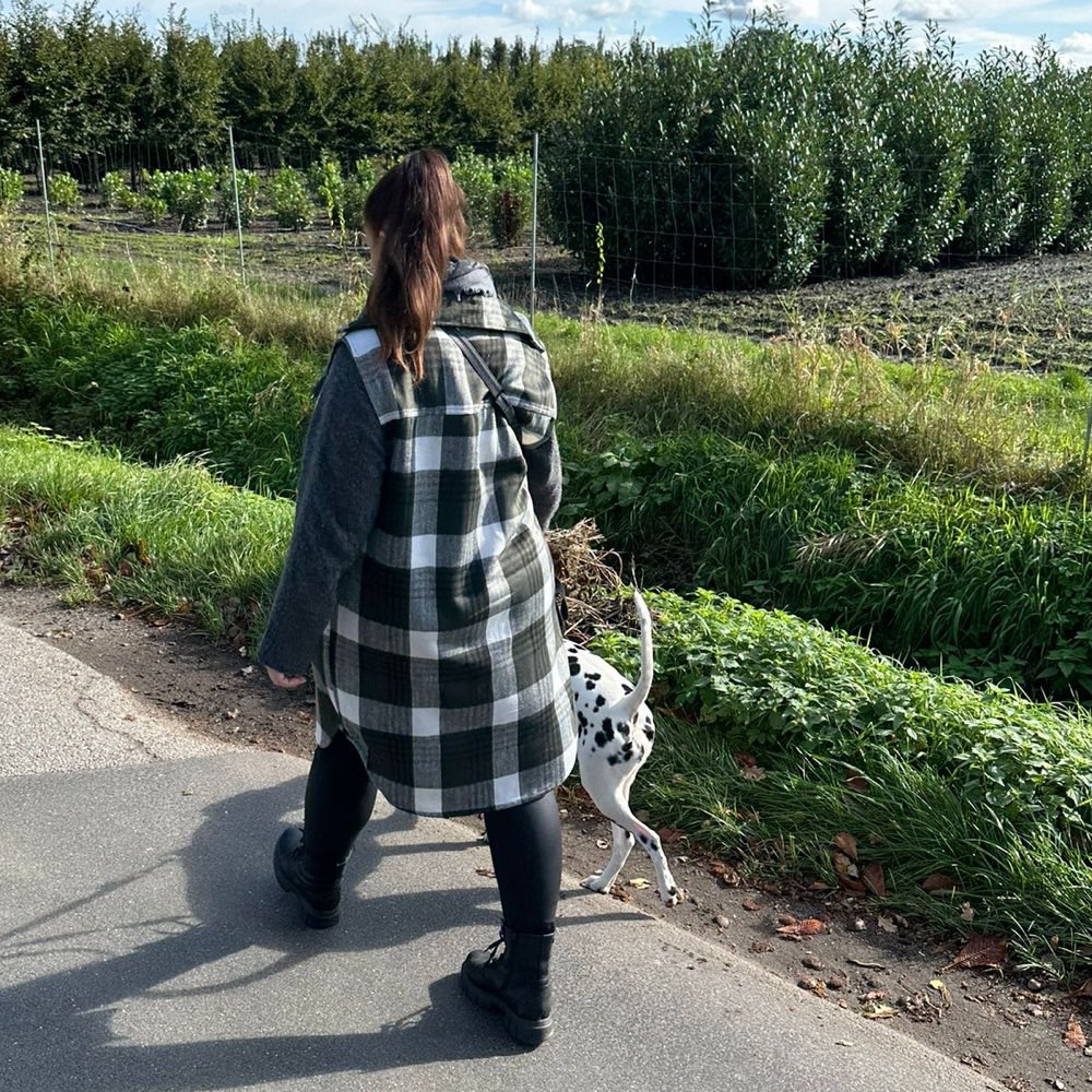 Hundetreffen-Trainings - Gassirunde / Social Walk-Profilbild