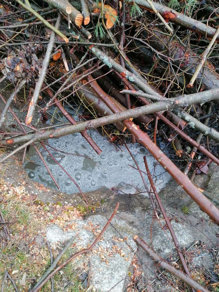 Giftköder-Spühlmittel in Wasserbecken-Profilbild