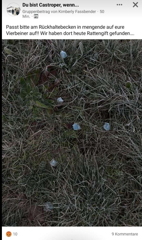 Giftköder-Rattengift-Profilbild