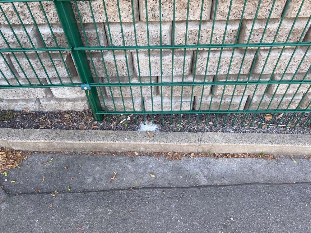 Giftköder-Weißes Pulver-Profilbild