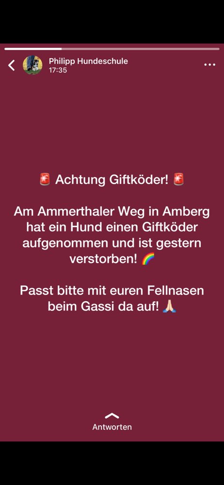 Giftköder-Giftköder-Profilbild