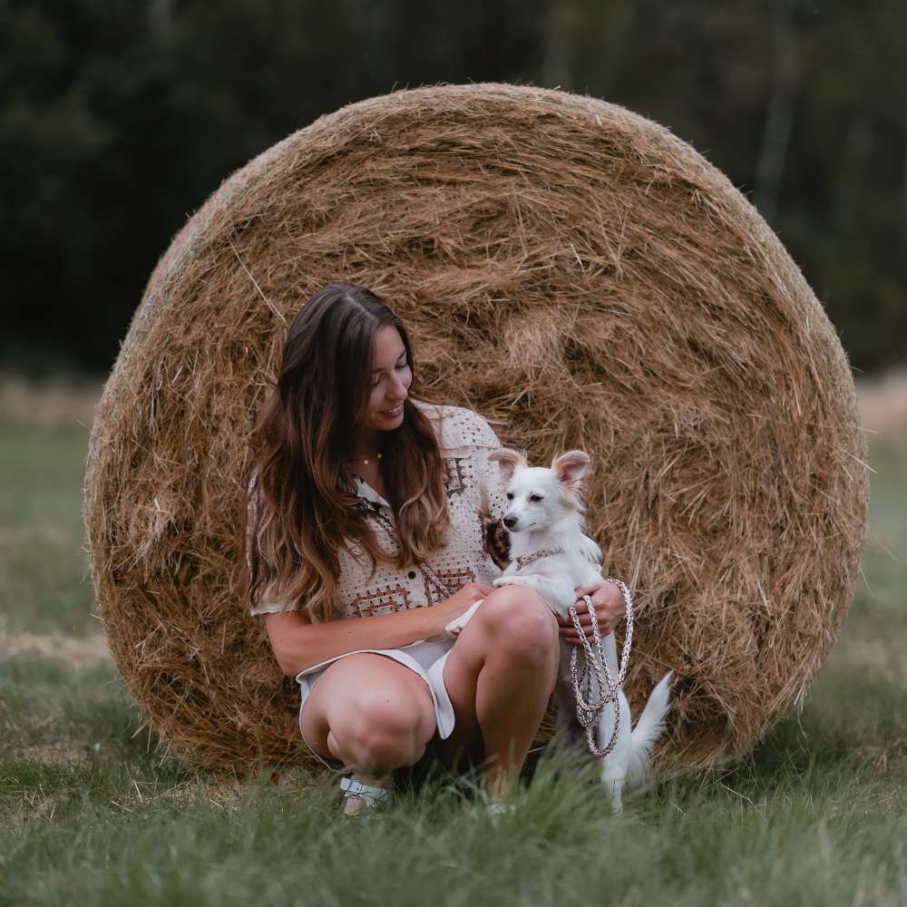 Hundetreffen-Gassi- & Spielrunden-Profilbild