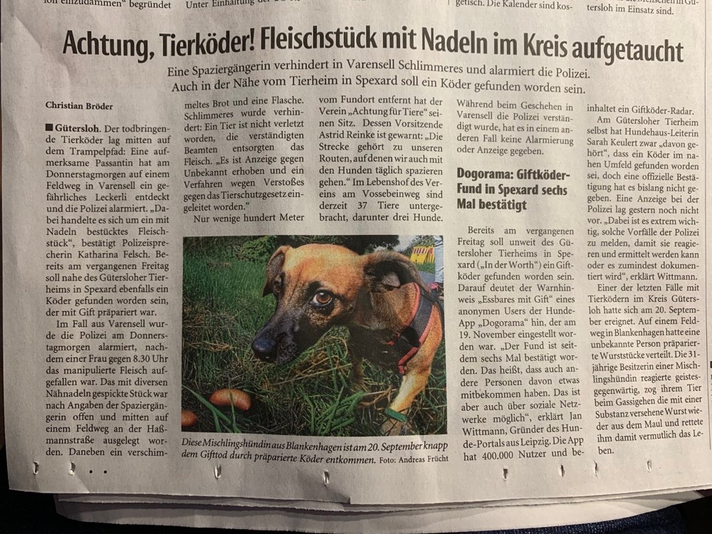 Giftköder-Giftköder-Profilbild