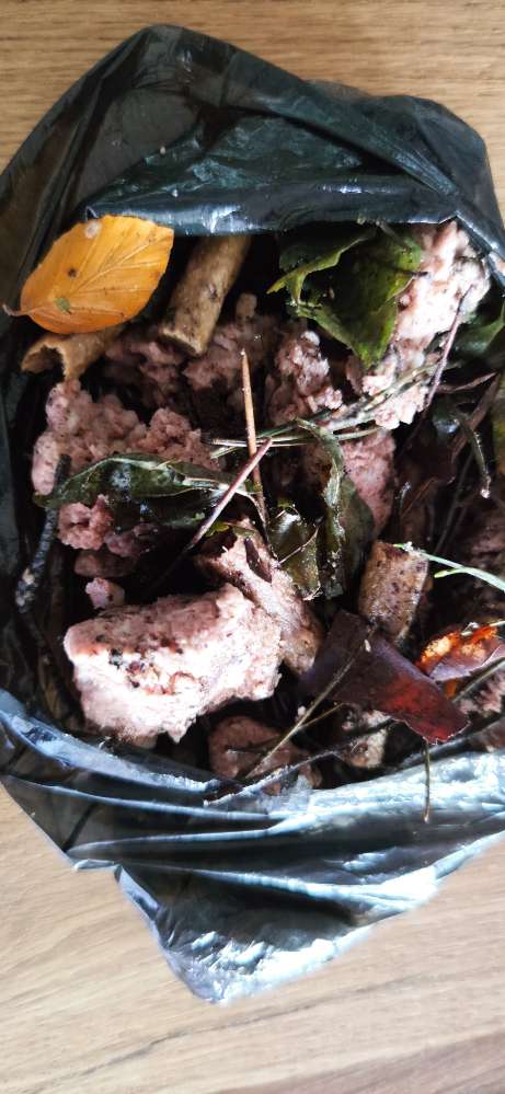 Giftköder-Giftköder-Profilbild