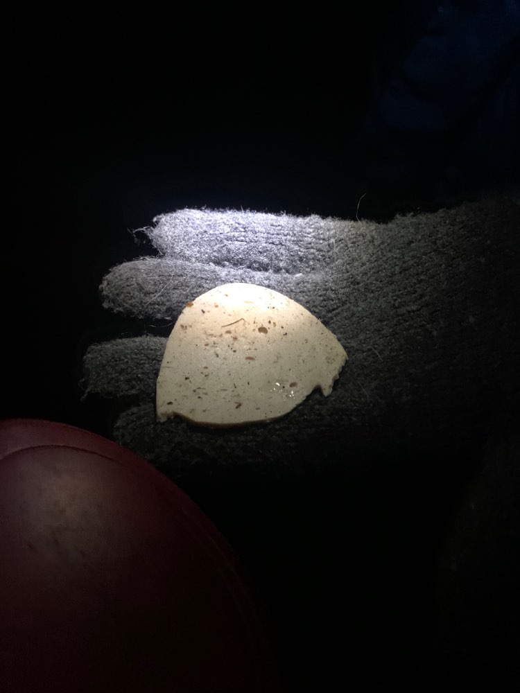 Giftköder-Evtl. Giftköder-Profilbild