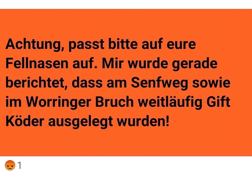Giftköder-Giftköder im Worringer Bruch-Profilbild