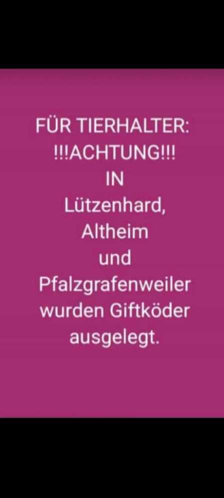 Giftköder-Achtung Giftköder-Profilbild