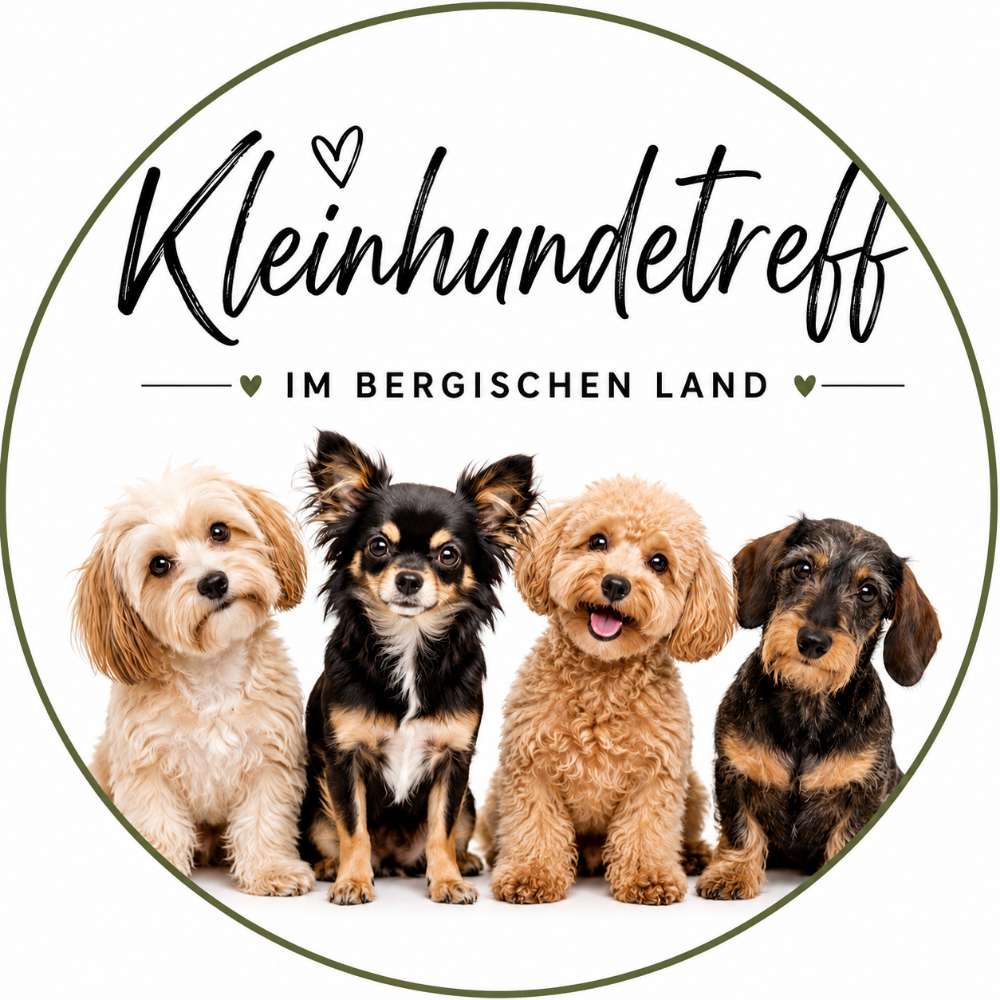 Hundetreffen-Kleinhundetreff Bergisch Land-Profilbild