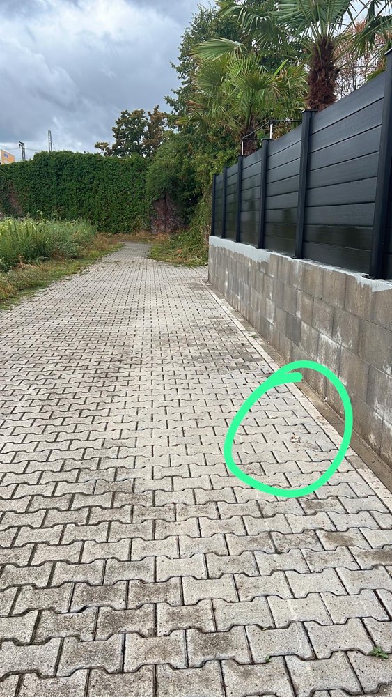 Giftköder-Fleisch oder Fisch auf dem Weg.-Profilbild