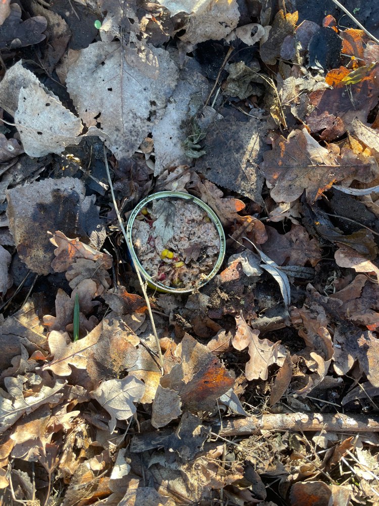 Giftköder-Möglicher Giftköder-Profilbild