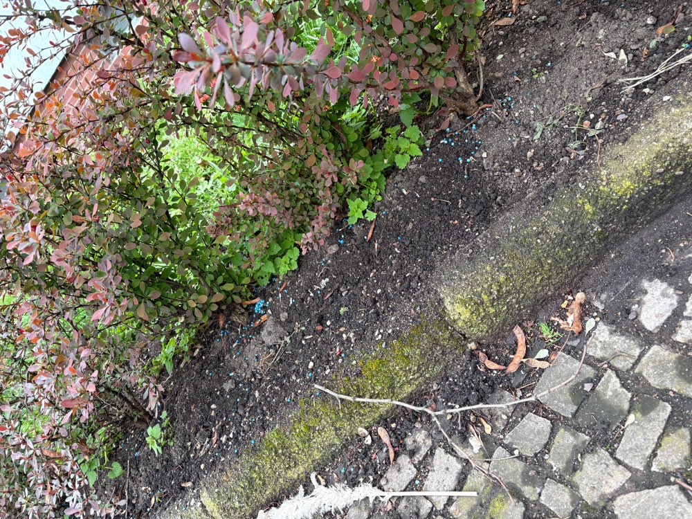 Giftköder-Rattengift/Schneckenkorn-Profilbild