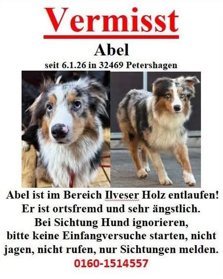 Suchmeldung-Abel-Profilbild