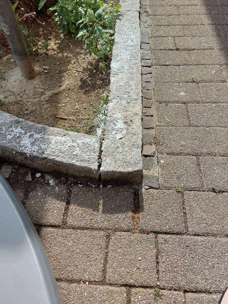 Giftköder-Evtl GIFTKÖDER-Profilbild