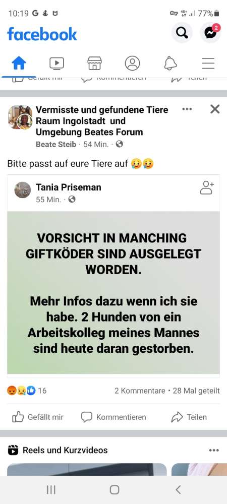 Giftköder-Giftköder-Profilbild