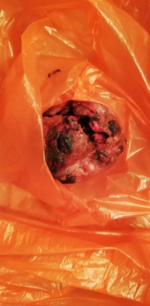 Giftköder-GIFTKÖDER-Profilbild