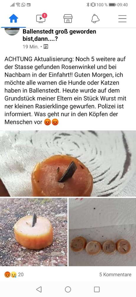Giftköder-Wurst mit Rasierklinge-Profilbild