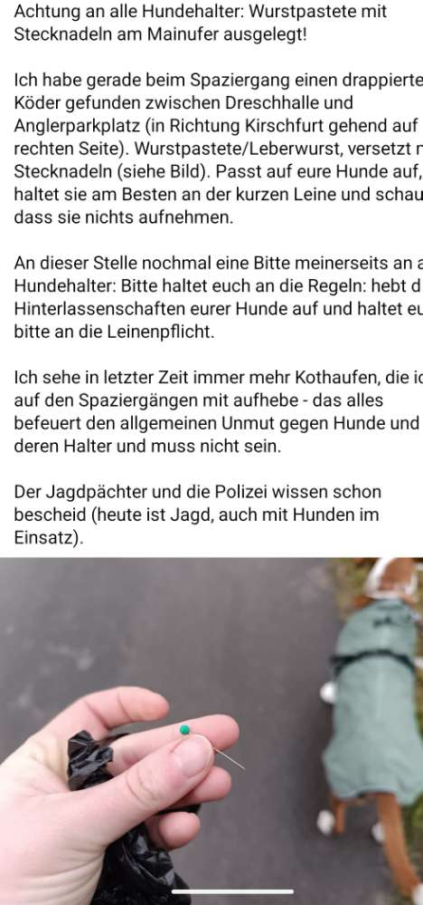 Giftköder-Wurstpastete mit Stecknadeln am Main-Profilbild