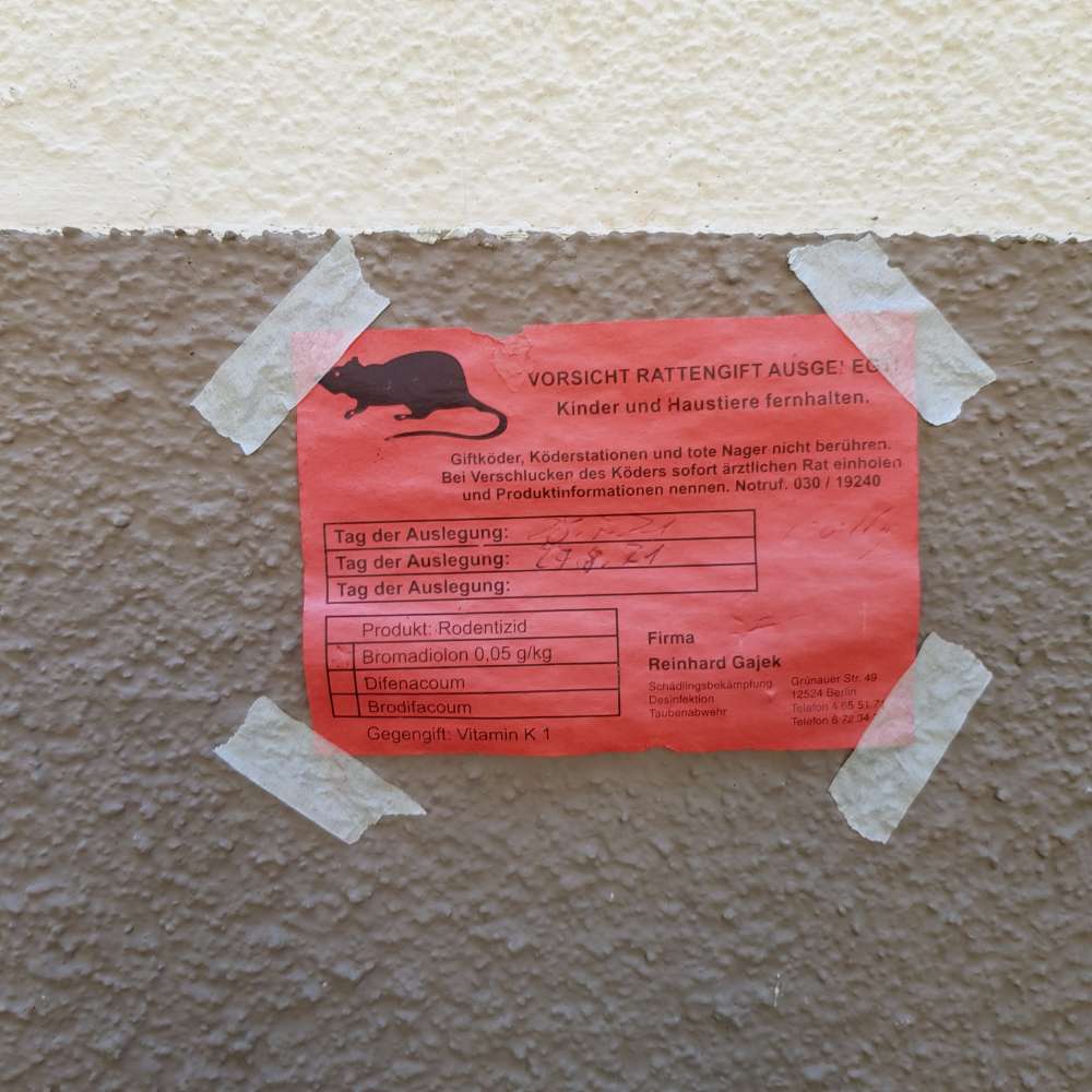 Giftköder-Rattenbefall /- bekämpfung-Profilbild