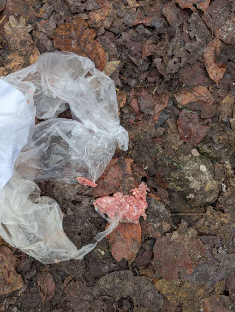 Giftköder-Hackfleisch um den Mülleimer am Nacken-Profilbild