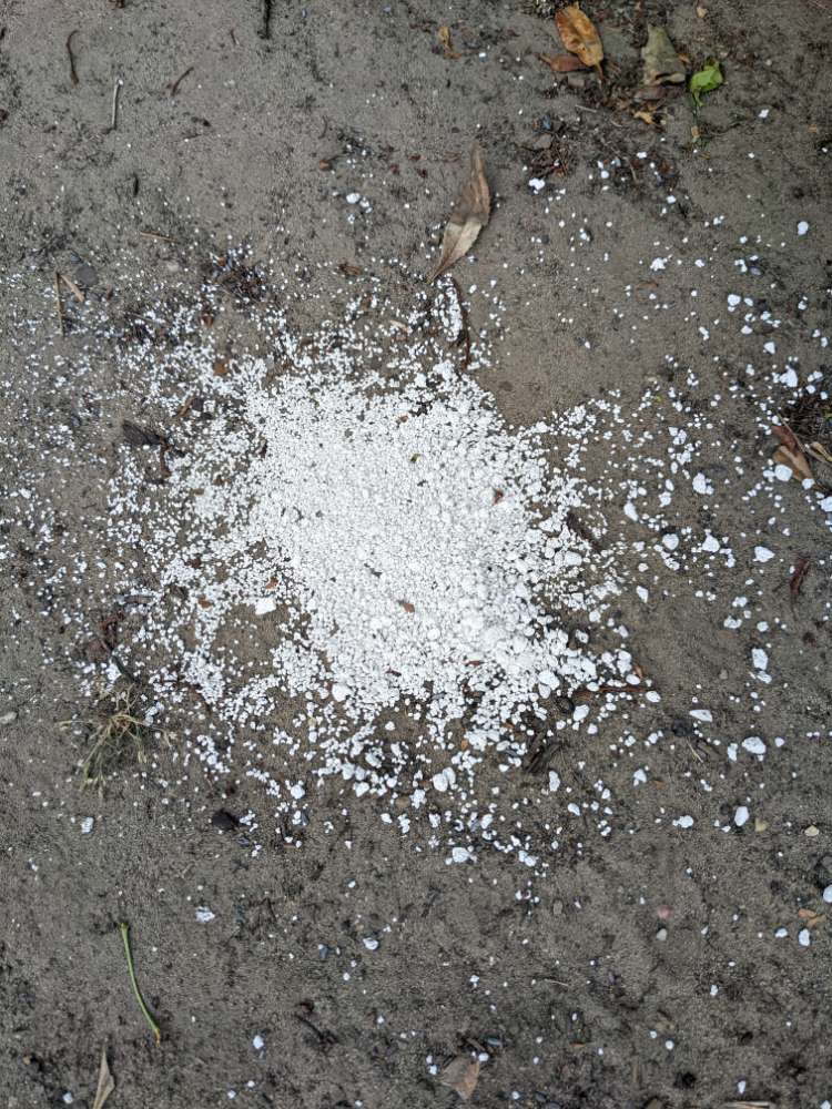 Giftköder-Weißes Pulver-Profilbild