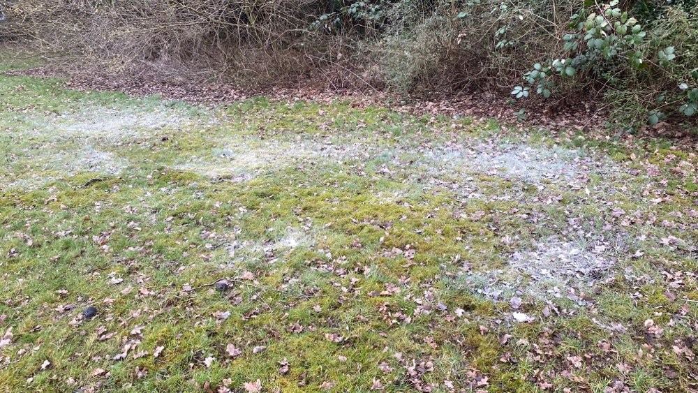 Giftköder-unbekanntes Pulver-Profilbild