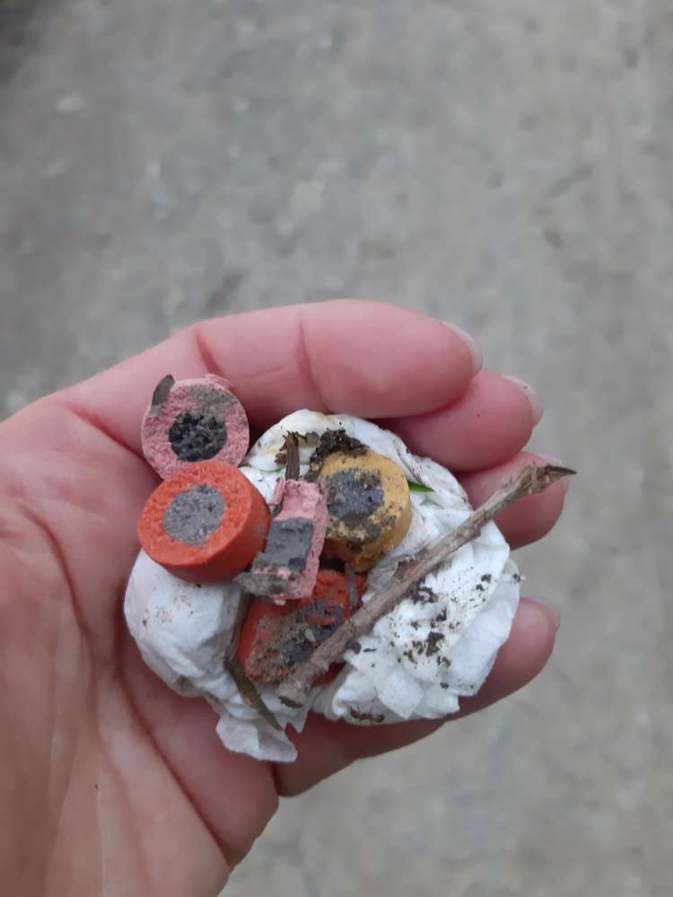 Giftköder-Leckerchen am Wegrand-Profilbild