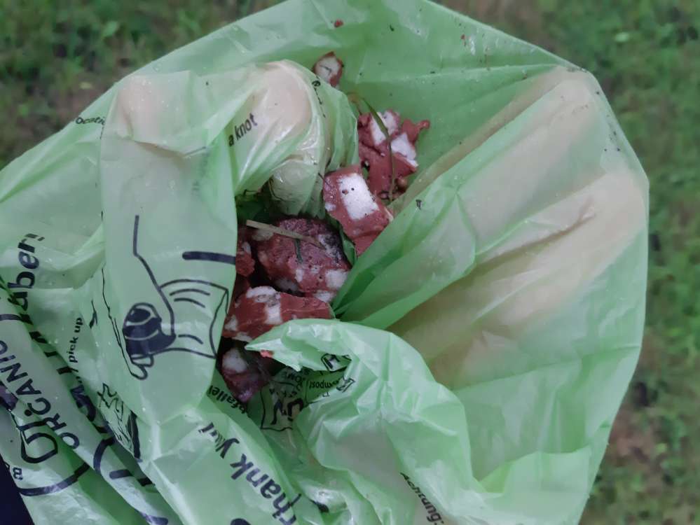 Giftköder-Wurststücke auf der Wiese-Profilbild